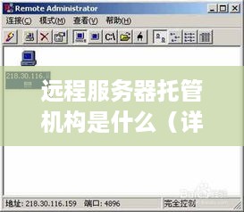 远程服务器托管机构是什么（详解远程服务器托管服务）