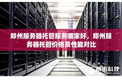 郑州服务器托管服务哪家好，郑州服务器托管价格及性能对比