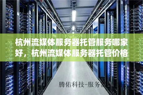 杭州流媒体服务器托管服务哪家好，杭州流媒体服务器托管价格对比