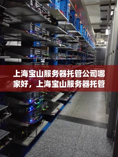 上海宝山服务器托管公司哪家好，上海宝山服务器托管服务推荐