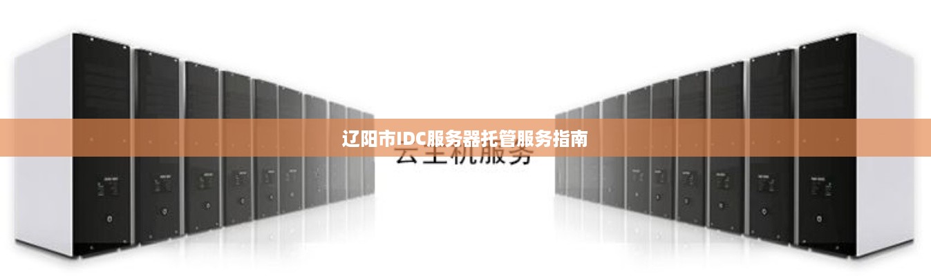 辽阳市IDC服务器托管服务指南