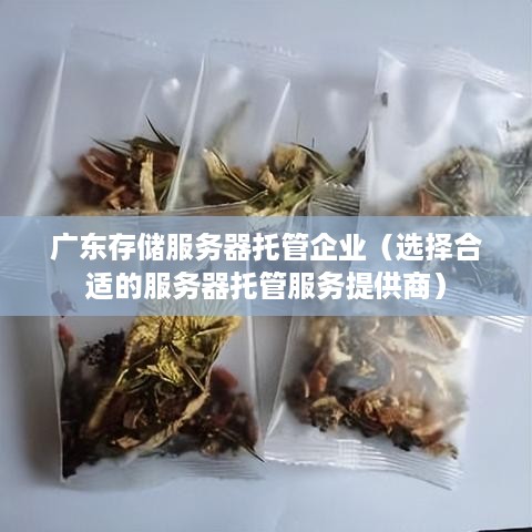 广东存储服务器托管企业（选择合适的服务器托管服务提供商）