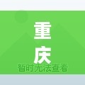 重庆全域服务器托管公司哪家好，重庆服务器托管价格对比