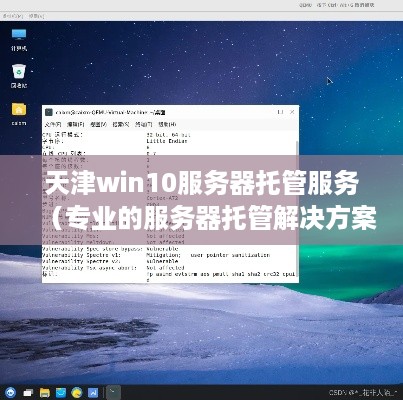 天津win10服务器托管服务（专业的服务器托管解决方案）
