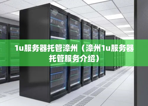 1u服务器托管漳州（漳州1u服务器托管服务介绍）