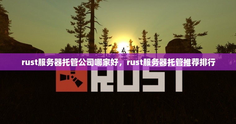 rust服务器托管公司哪家好，rust服务器托管推荐排行