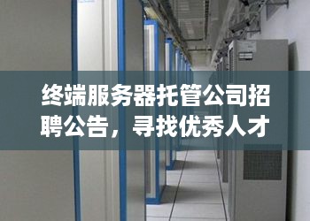 终端服务器托管公司招聘公告，寻找优秀人才加入团队