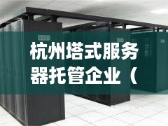 杭州塔式服务器托管企业（提供专业的服务器托管服务）