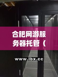 合肥网游服务器托管（游戏托管服务器）