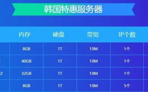 服务器租用托管选亿恩（服务器托管一般多少钱一个月）