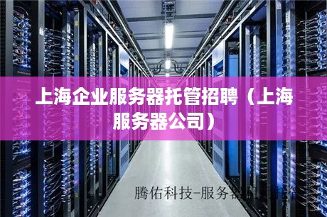 上海企业服务器托管招聘（上海服务器公司）