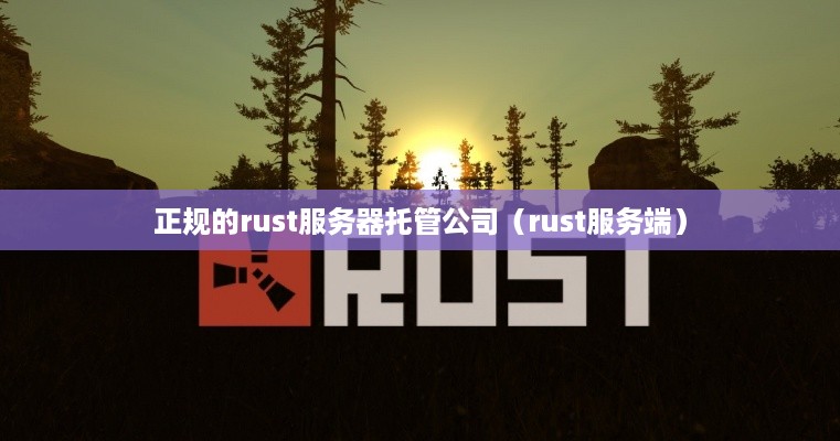 正规的rust服务器托管公司（rust服务端）