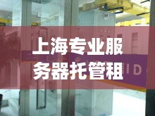 上海专业服务器托管租用（上海服务器租用,网络服务）