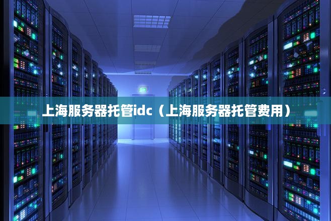 上海服务器托管idc（上海服务器托管费用）