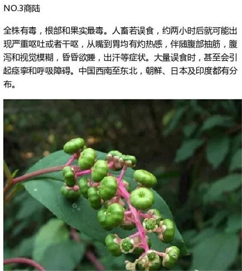 山东服务器托管可靠（选择山东服务器托管需要考虑的因素）