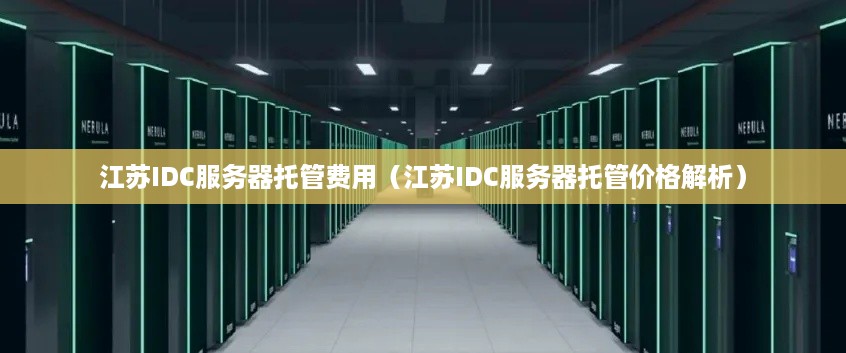 江苏IDC服务器托管费用（江苏IDC服务器托管价格解析）