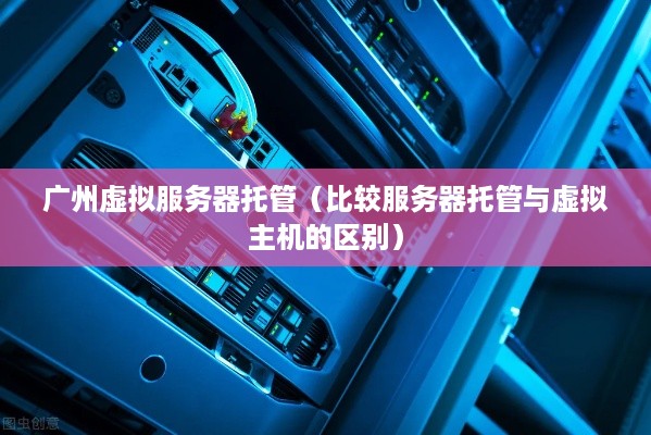 广州虚拟服务器托管（比较服务器托管与虚拟主机的区别）