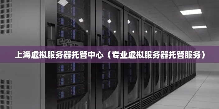 上海虚拟服务器托管中心（专业虚拟服务器托管服务）