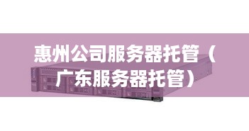 惠州公司服务器托管（广东服务器托管）