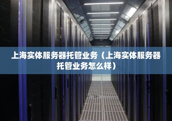 上海实体服务器托管业务（上海实体服务器托管业务怎么样）