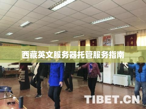 西藏英文服务器托管服务指南