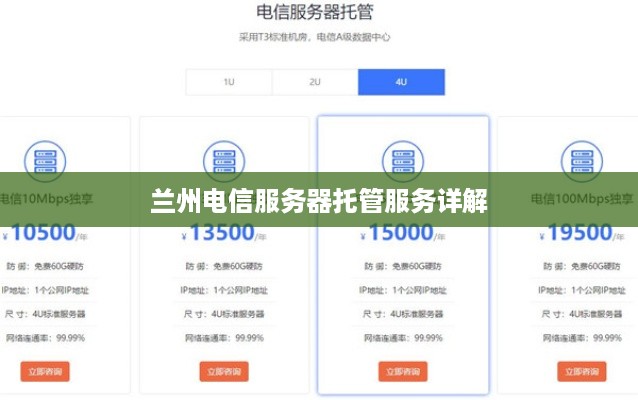兰州电信服务器托管服务详解