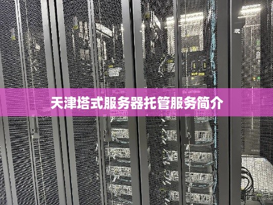天津塔式服务器托管服务简介