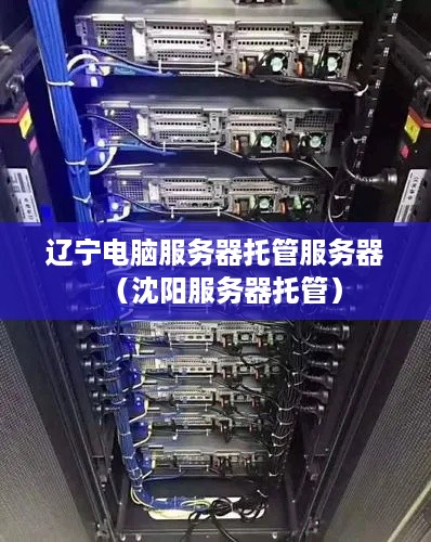 辽宁电脑服务器托管服务器（沈阳服务器托管）