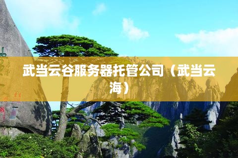 武当云谷服务器托管公司（武当云海）