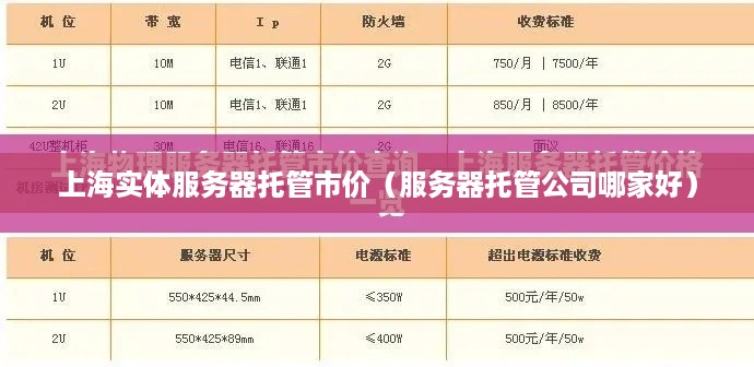 上海实体服务器托管市价（服务器托管公司哪家好）