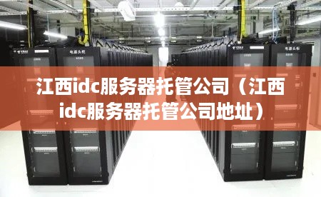 江西idc服务器托管公司（江西idc服务器托管公司地址）