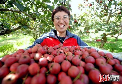 河北服务器托管价格表（详细服务器托管费用一览）