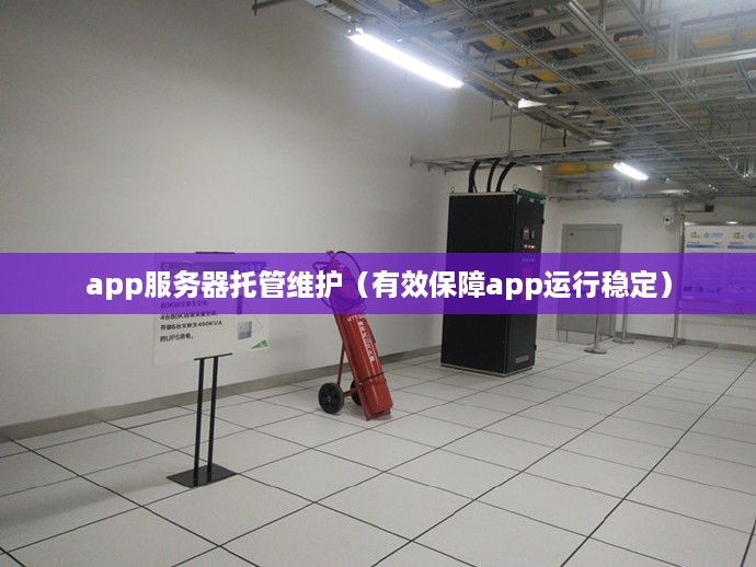 app服务器托管维护（有效保障app运行稳定）