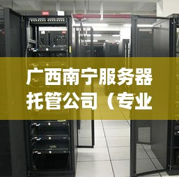 广西南宁服务器托管公司（专业服务器托管服务推荐）