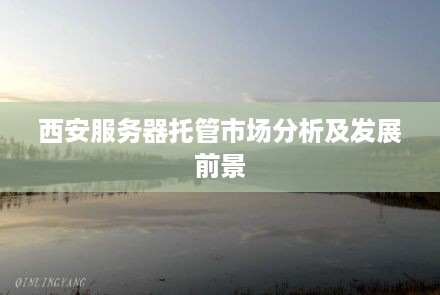 西安服务器托管市场分析及发展前景