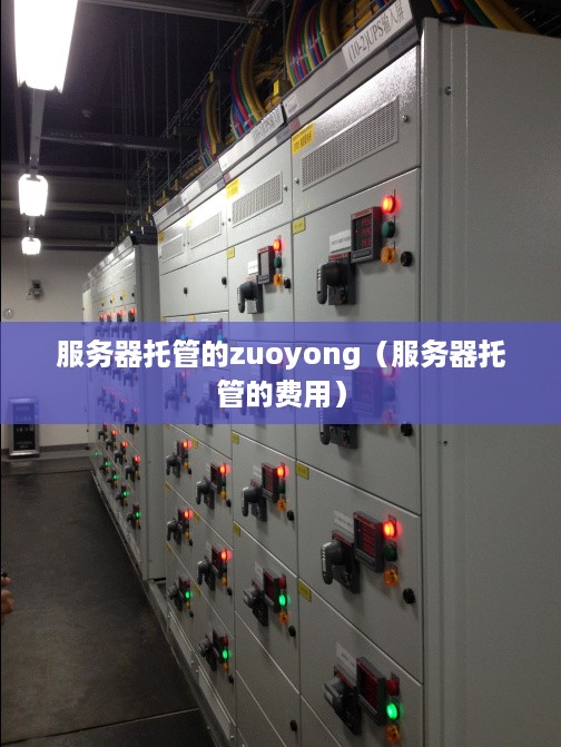 服务器托管的zuoyong（服务器托管的费用）