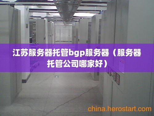 江苏服务器托管bgp服务器（服务器托管公司哪家好）