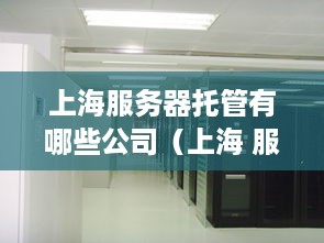 上海服务器托管有哪些公司（上海 服务器托管）