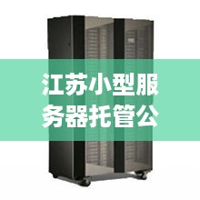 江苏小型服务器托管公司（选择合适的服务器托管服务提供商）