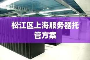 松江区上海服务器托管方案