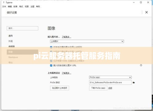 pi云服务器托管服务指南