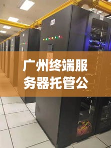 广州终端服务器托管公司（广州服务器托管机房）