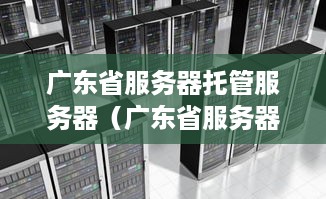 广东省服务器托管服务器（广东省服务器托管服务优势分析）
