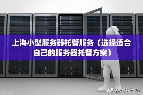 上海小型服务器托管服务（选择适合自己的服务器托管方案）