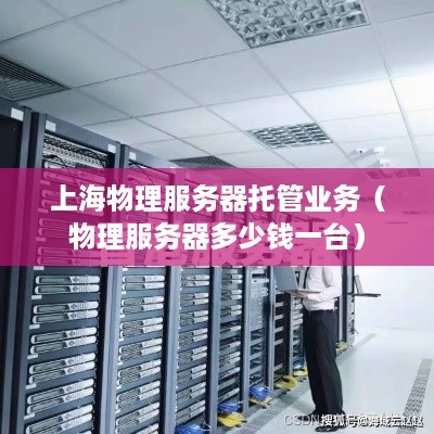 上海物理服务器托管业务（物理服务器多少钱一台）
