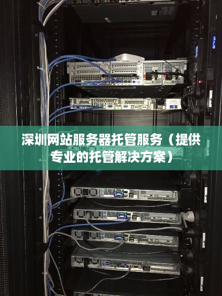 深圳网站服务器托管服务（提供专业的托管解决方案）