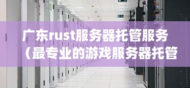 广东rust服务器托管服务（最专业的游戏服务器托管平台）