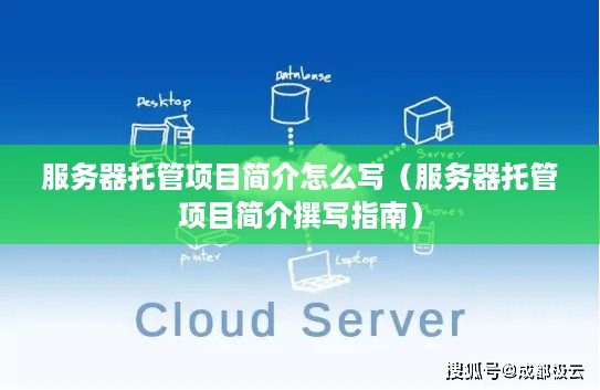 服务器托管项目简介怎么写（服务器托管项目简介撰写指南）