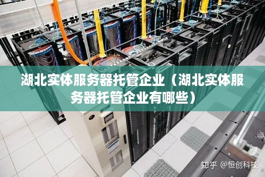 湖北实体服务器托管企业（湖北实体服务器托管企业有哪些）