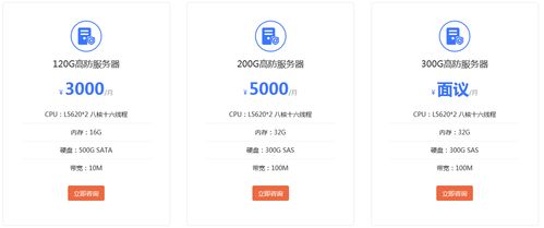 服务器托管租用费用明细（服务器托管租用费用明细表格）
